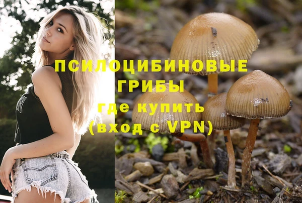 мдма Каменногорск