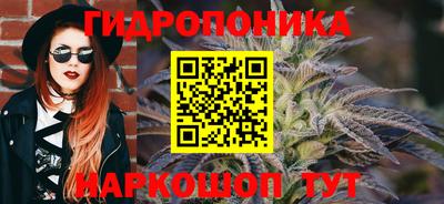 скорость Заводоуковск