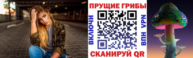 ОМГ ОМГ онион  Реж  Псилоцибиновые грибы Psilocybine cubensis 