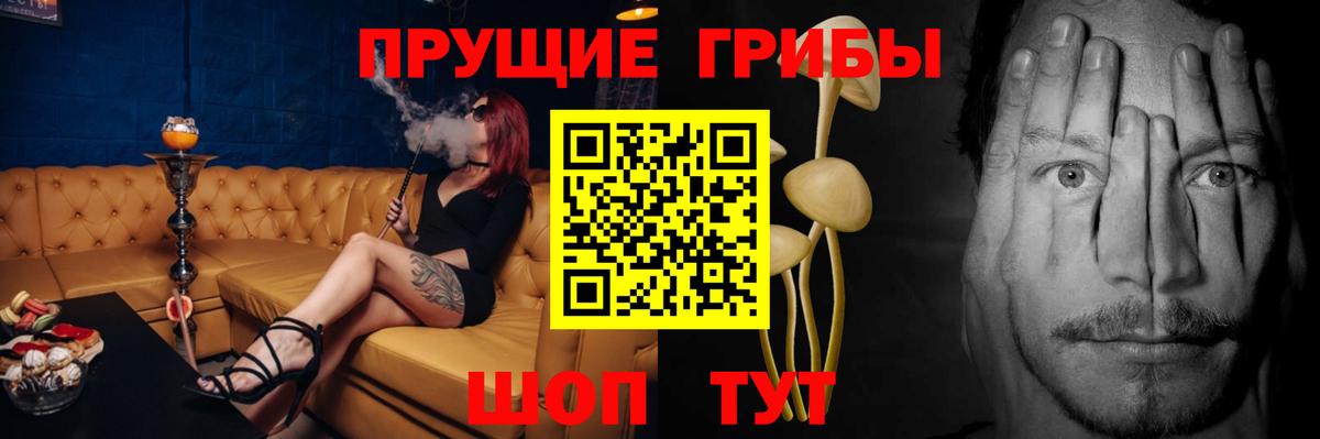 Псилоцибиновые грибы MAGIC MUSHROOMS  Вход с VPN  Реж  Псилоцибиновые грибы ЛСД 